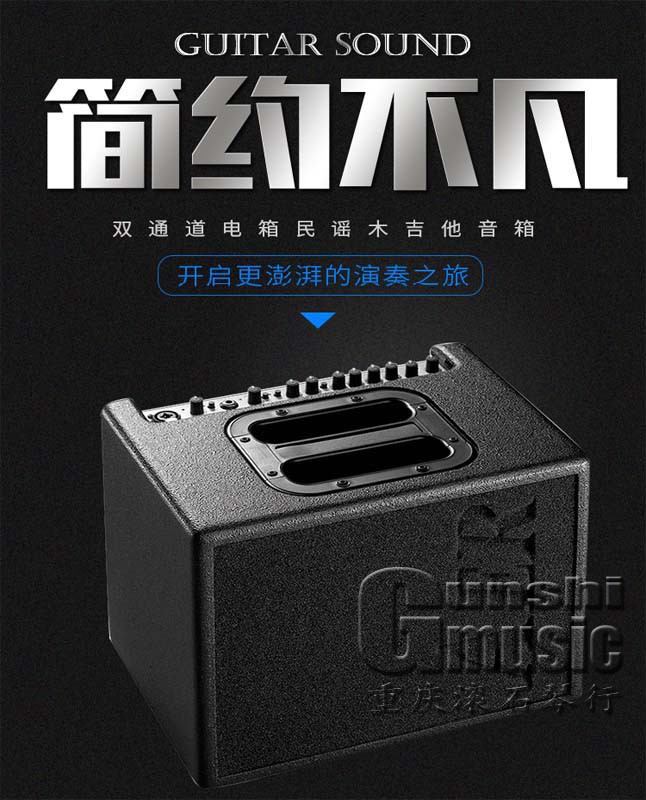 德国AER Compact 60标准款 民谣木吉他60瓦充电弹唱音箱